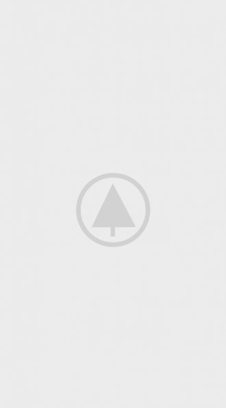 wood-portfolio-placeholder-330x596  