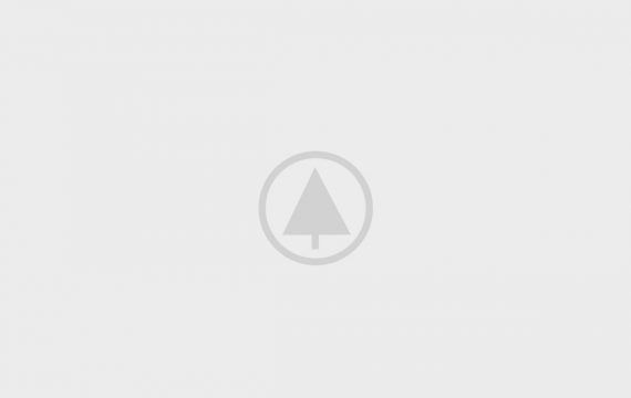 wood-portfolio-placeholder-570x360  