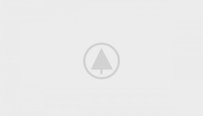 wood-portfolio-placeholder-700x400  